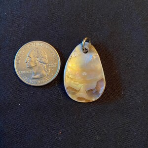 Shell necklace pendant
