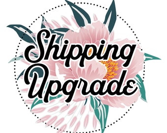 Upgrade the shipping for your order from First Class Postage to Priority 2-3 Day Shipping. Your Order ships in a flat-rate envelope.