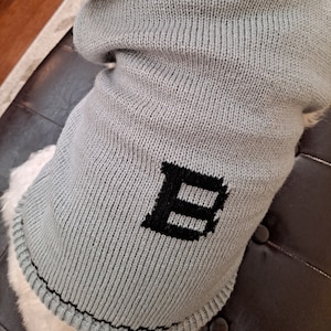 May include: A grey knitted dog sweater with a black embroidered letter "B" on the back.