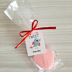 Heart Soaps, Personalized Kids Valentine's Day School Class Party Favors, Teacher Gift, Set of 12 Bird