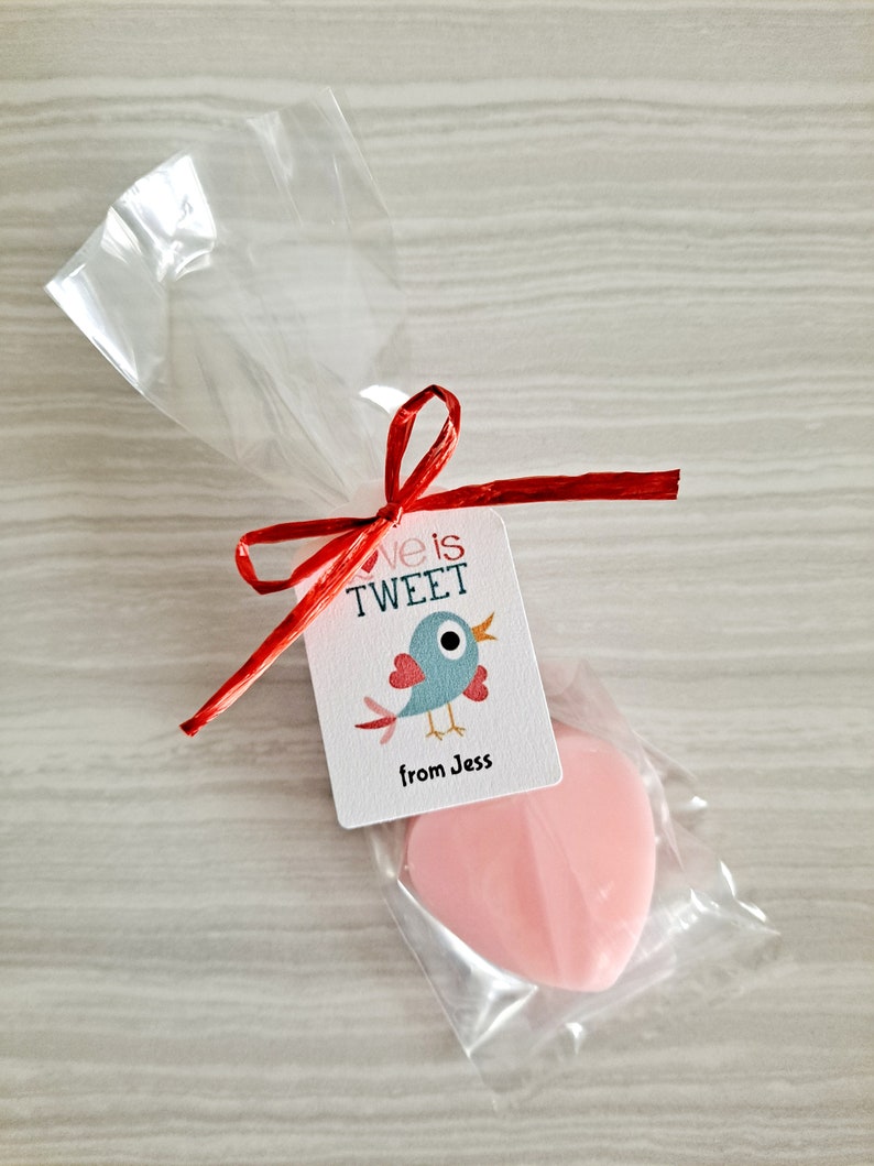 Heart Soaps, Personalized Kids Valentine's Day School Class Party Favors, Teacher Gift, Set of 12 Bird