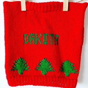 May include: Red knitted sweater with the word "DAKOTA" in green letters and three green Christmas trees.
