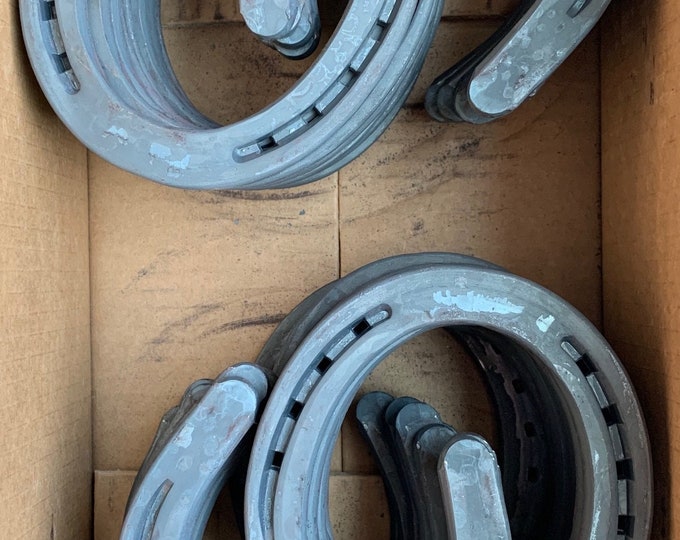 Diamond Farrier DC00B Horseshoes, Horseshoe, 00 Classic Plain, 20 Pairs