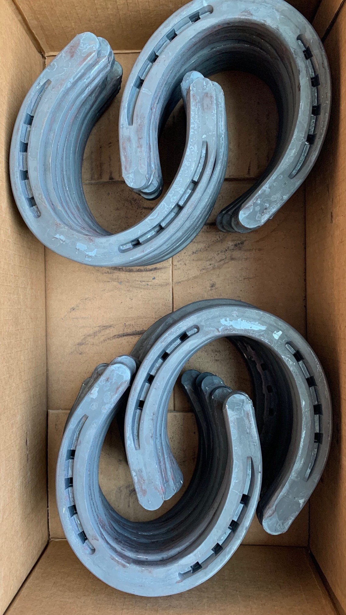 Diamond Farrier DC00B Horseshoes Horseshoe 00 Classic Plain Etsy