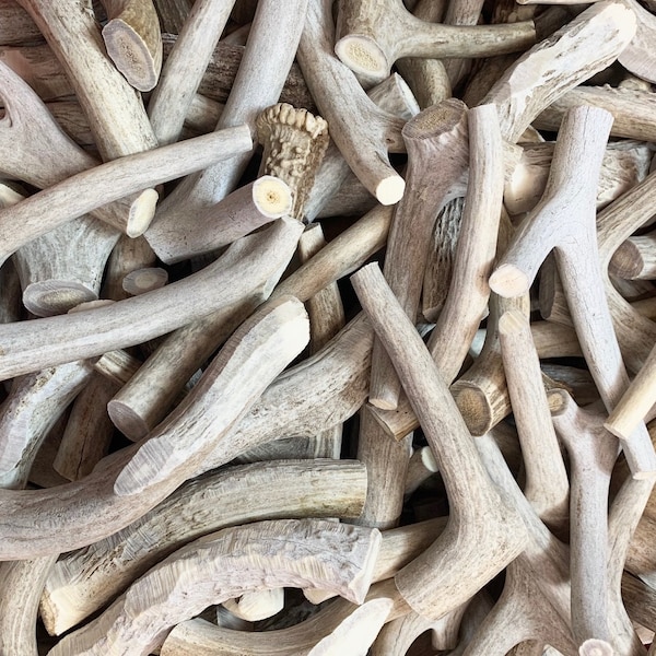 ANTLER MAN® C-Grade Deer Antler Pieces Dog Chews for Medium Size Dogs - Sold By The Pound