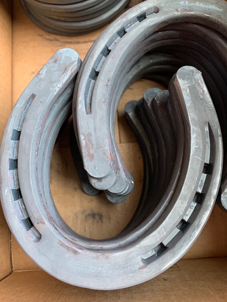 Diamond Farrier DC00B Horseshoes Horseshoe 00 Classic Plain Etsy