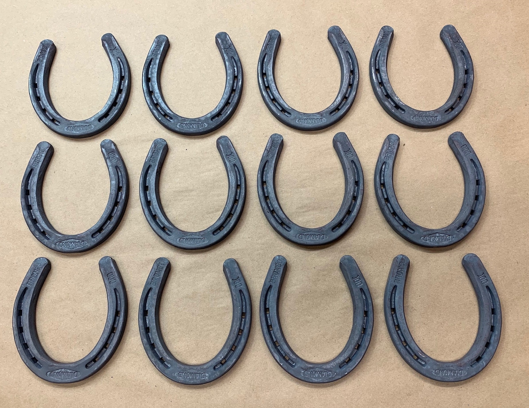 The Different Types Of Horseshoes