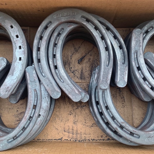 Bronco Horseshoes Etsy