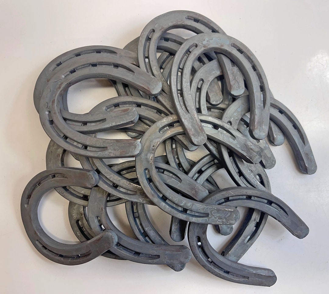 10 Pairs 20 Shoes Diamond 0pony B Horseshoes Pony Etsy