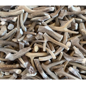 1 POUND - ANTLER MAN® Premium Deer Antler Pieces - Dog Chews - Sold By The Pound