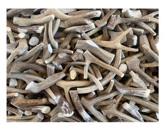 May include: A pile of natural deer antlers, varying in size and shape. The antlers are primarily shades of brown and tan, with some white sections. The image shows a close-up view of the antlers, with many cut ends visible.