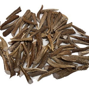 12 Pack LARGE Deer Antler Brow Tine Points, Tips, Arts, Crafts, Pendants - 3 Inches or Longer