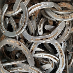 Lot of 50 Used Horseshoes from Texas Equine Rustic Cowboy Bulk Crafting Welding - FREE SHIPPING