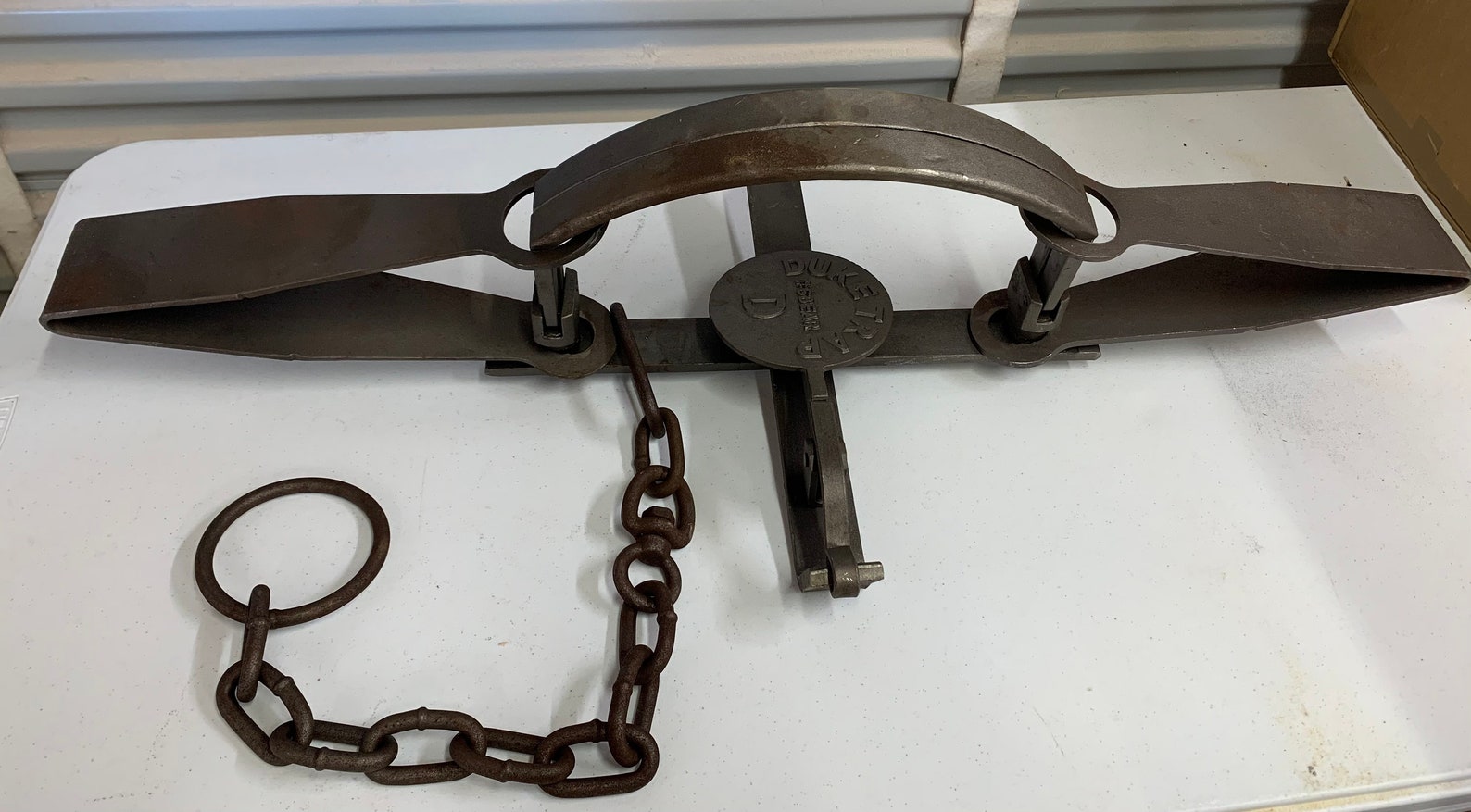 Real Bear Trap with Regular Jaw 16 Spread 6 Etsy