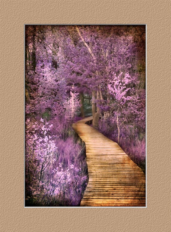Art Photography Wall Art Nature Home Decor Fine Art | Etsy
