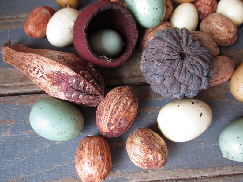 Seeds Bowl Filler Set Blue Twig Balls Easter Decor Easter Bowl Filler Spring Eggs Cream and Tan 23 Pieces Mini Speckled Egg Set Pods