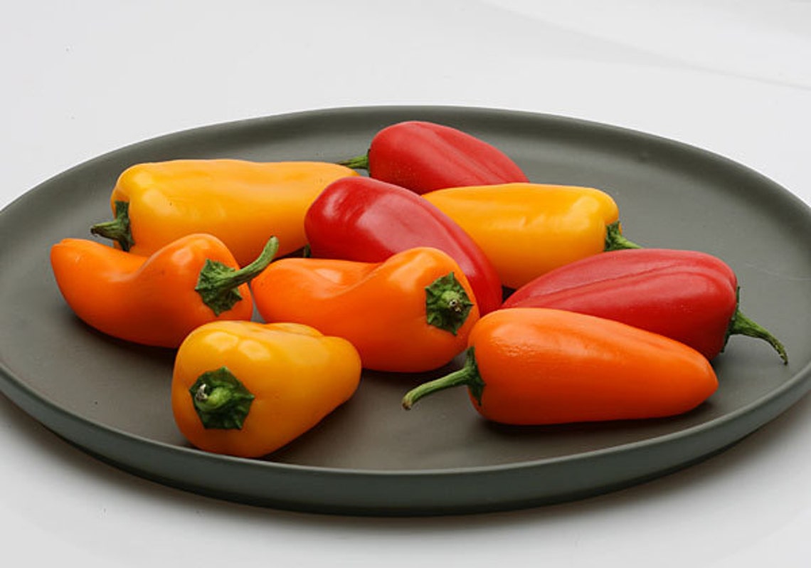 VPPS VINE SWEET Minipepperseedwoware They Sweet Etsy