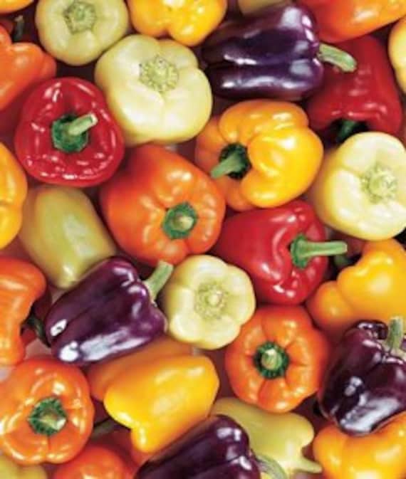 VPPS GRAND BELL Mix Pepperseedsa Color for Everyone Etsy