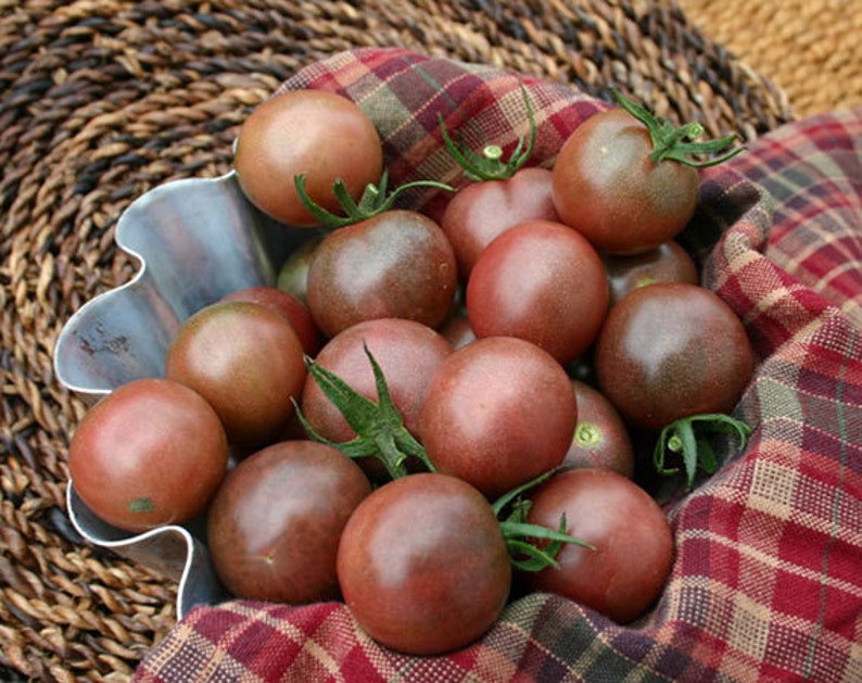 Del campo al restó: tomates con identidad