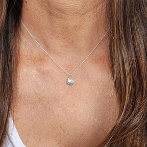 Collar de conchas pequeñas, plata de ley, concha de almeja, collar de conchas de plata, delicado, concha, collar, océano, playa, almeja, collar de capas