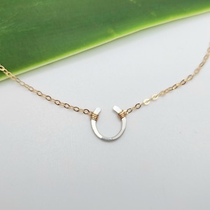 May include: A gold chain necklace with a silver horseshoe pendant. The horseshoe is wrapped with gold wire.