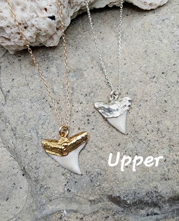Shark Tooth Necklace, Gold, Silver, Gold Shark Tooth Necklace, Silver Shark  Tooth Necklace, Genuine Shark Tooth, Dainty, Beach, Ocean, Small 