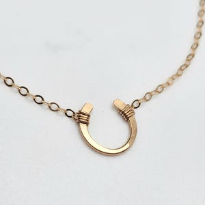 May include: A gold horseshoe necklace with a delicate chain. The horseshoe is open at the top and has a simple, minimalist design.