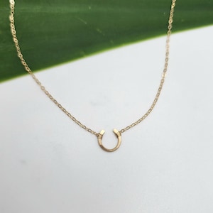 May include: A gold chain necklace with a small horseshoe pendant.