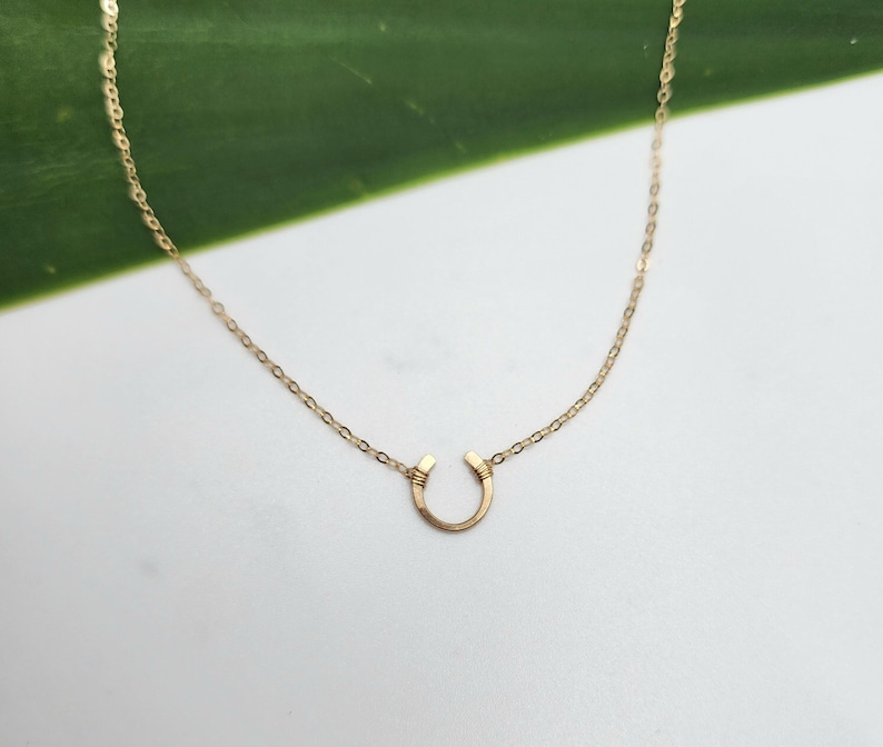 May include: A gold chain necklace with a small horseshoe pendant.