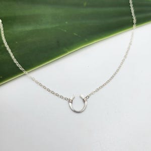 May include: A silver horseshoe pendant necklace on a delicate silver chain. The horseshoe is a symbol of good luck and fortune.