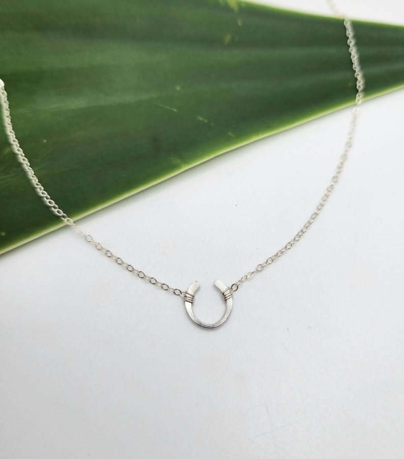 May include: A silver horseshoe pendant necklace on a delicate silver chain. The horseshoe is a symbol of good luck and fortune.