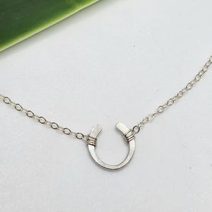 May include: A silver horseshoe necklace with a delicate chain. The horseshoe is open at the top and has a hammered finish.