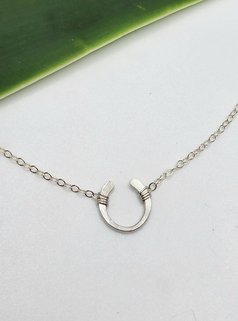 May include: A silver horseshoe necklace with a delicate chain. The horseshoe is open at the top and has a hammered finish.