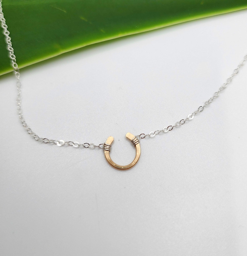 May include: A silver chain necklace with a gold horseshoe pendant.