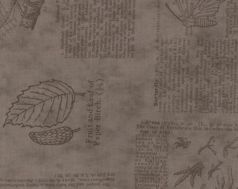Field Notes by Blackberry Designs for Moda fabrics, nature fabric, 271013