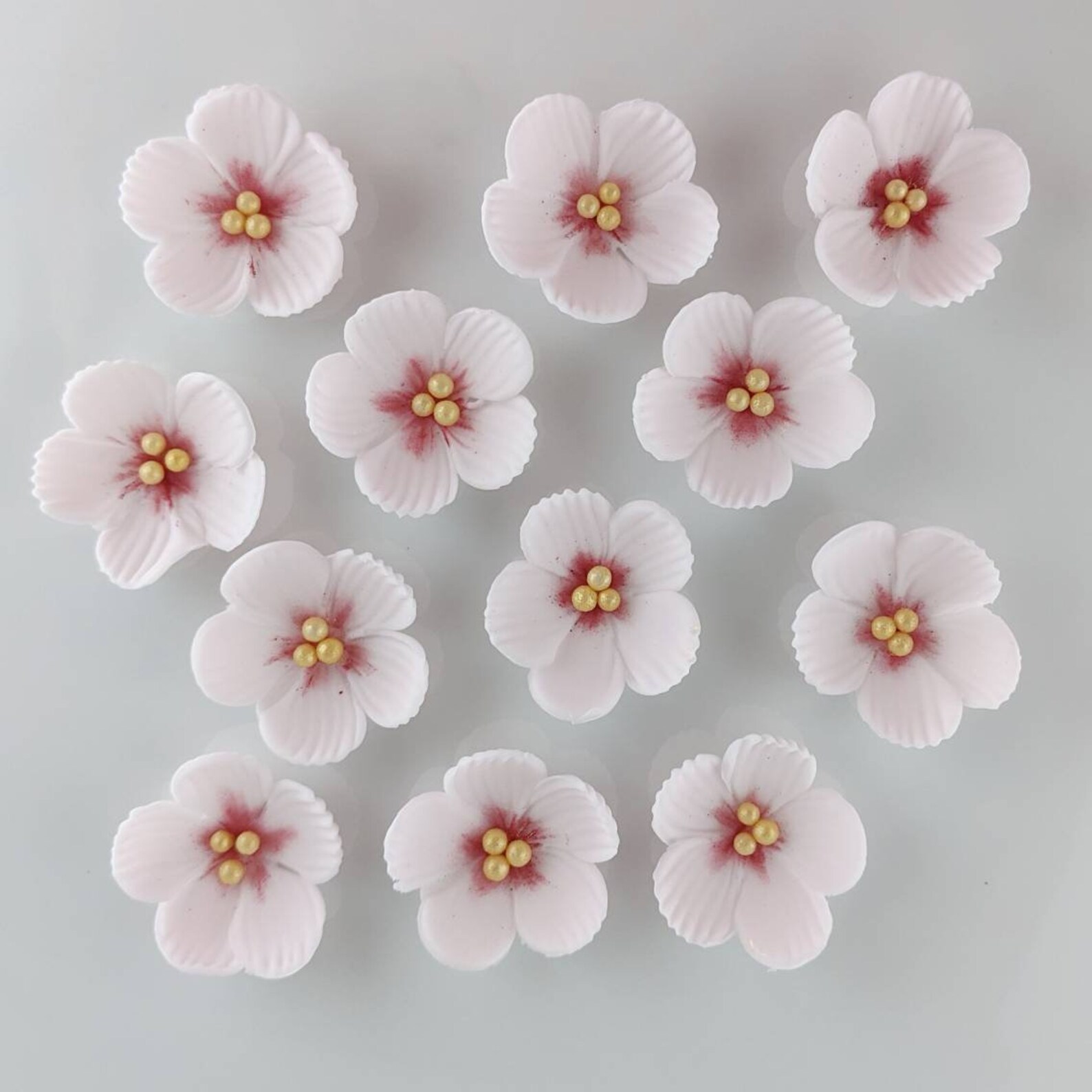 12 Cherry Blossom Sugar Flowers Edible Flowers for Cupcake Etsy