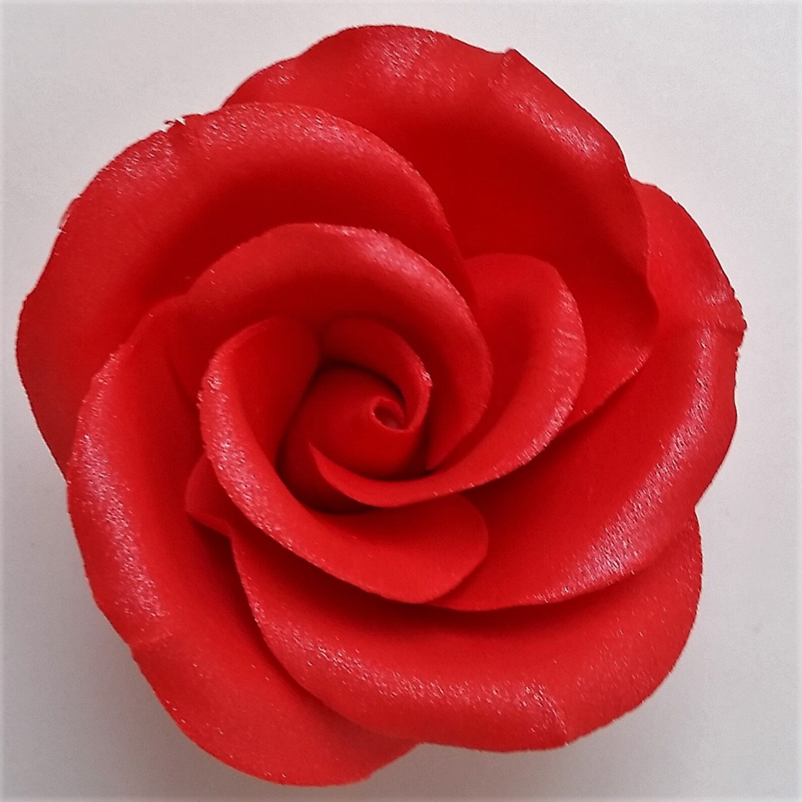 GUM PASTE ROSE one medium rose about 2.75 in diameter Etsy
