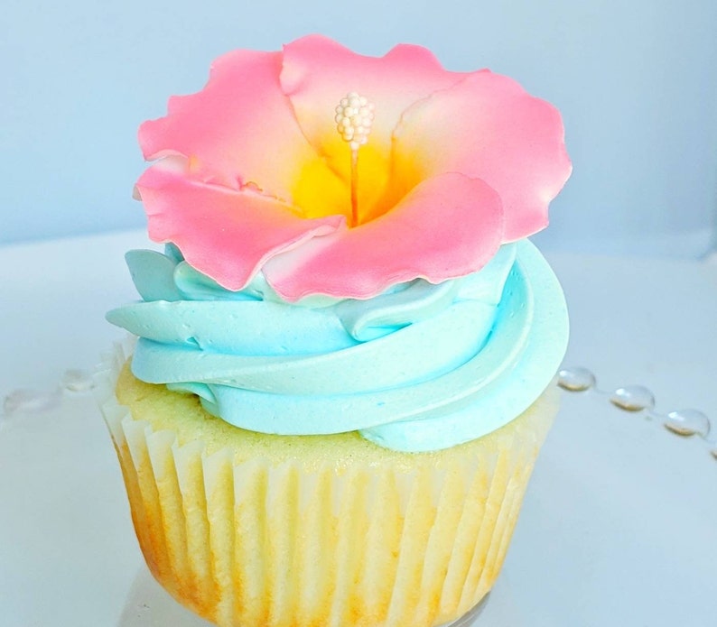 12 Hibiscus Sugar Flowers Plumeria & Monstera Leaves Option Etsy