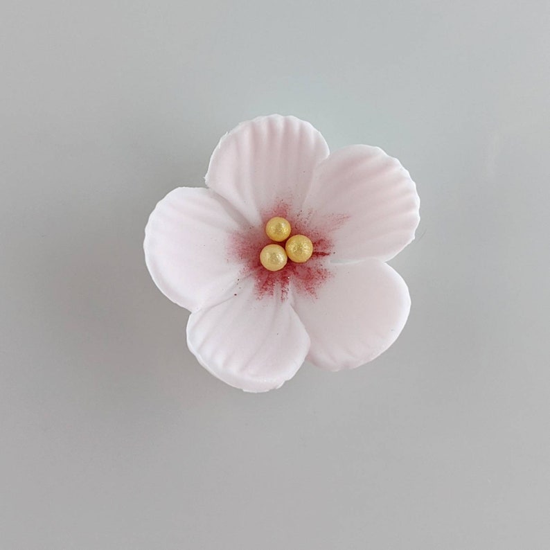 12 Cherry Blossom Sugar Flowers Edible Flowers for Cupcake Etsy