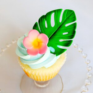 Plumeria Sugar Flowers Cupcake Decorating Set Edible Flowers Etsy Plumeria Sugar Flowers Cupcake Decorating Set Edible Flowers Etsy