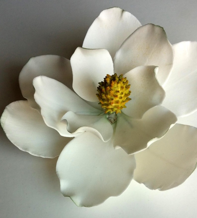 Edible Sugar Flower Magnolia for Wedding Cakes Etsy