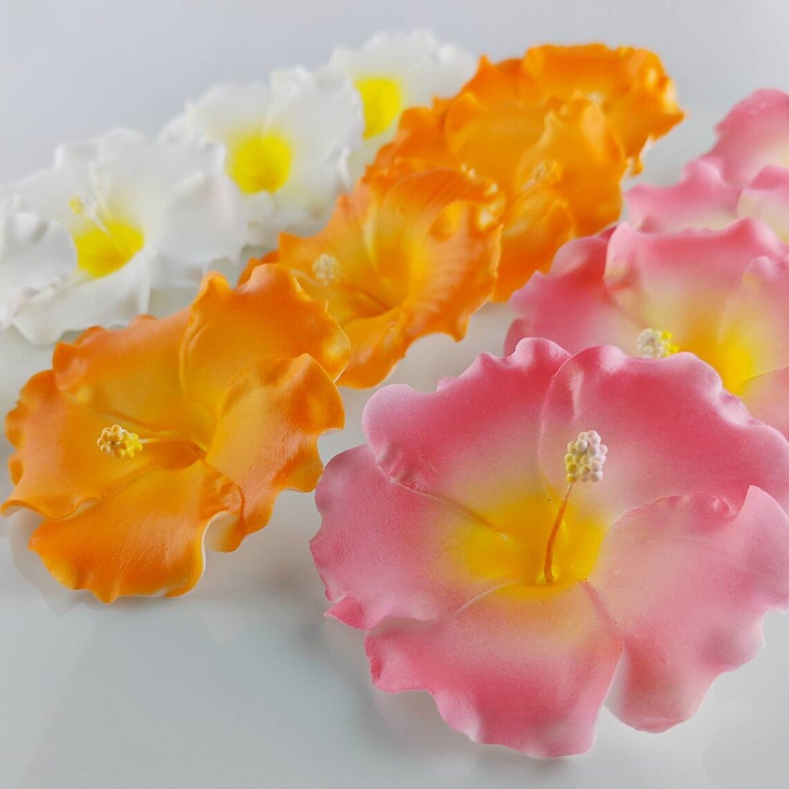 12 Hibiscus Sugar Flowers Plumeria & Monstera Leaves Option Etsy