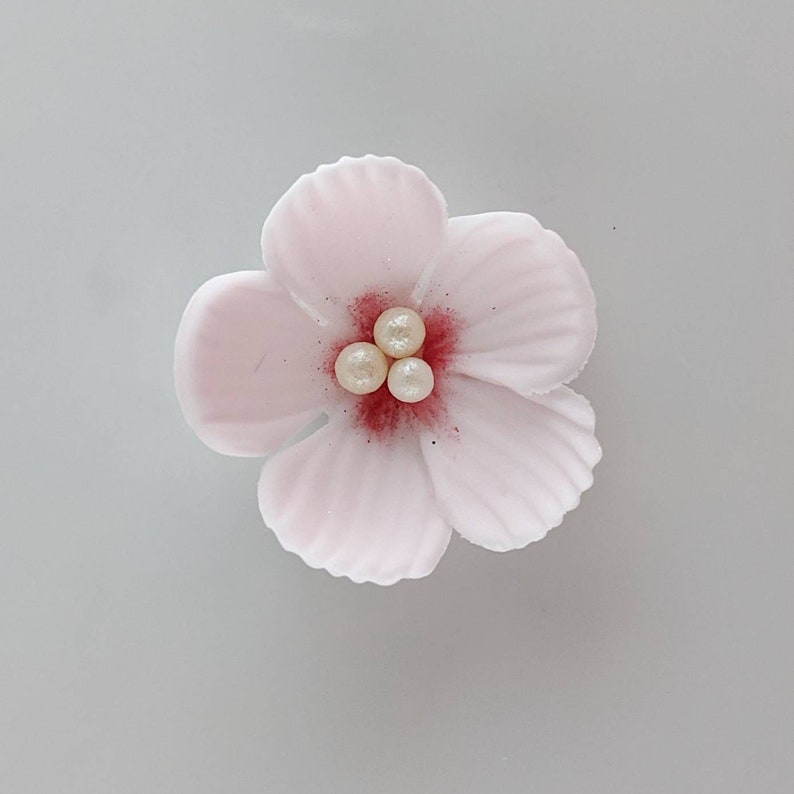 12 Cherry Blossom Sugar Flowers Edible Flowers for Cupcake Etsy