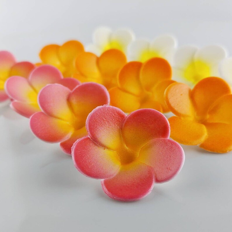 Plumeria Sugar Flowers Cupcake Decorating Set Edible Flowers Etsy