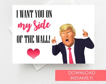 "You're the best valentine..." Perfect Gift Funny Donald Trump Valentine Mug 