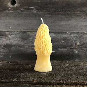 Morel Mushroom - 100% Pure Beeswax Candle