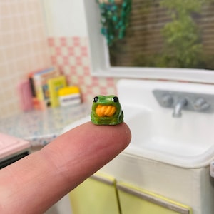 Frog scrubbie holder, sponge holder kitchen sink accessory 1:12 Dollhouse Miniature vintage spring summer decor