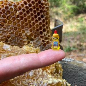 May include: A small yellow bear-shaped honey bottle with a red cap, sitting on a finger in front of a honeycomb.
