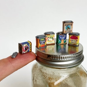 1:12 Gewürzdosen Puppenhaus Miniaturküche Vorratskammer Zubehör