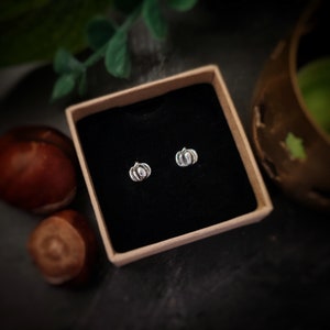 May include: A pair of silver pumpkin stud earrings in a black velvet jewellery box. The earrings are small and delicate, perfect for adding a touch of autumn to any outfit.